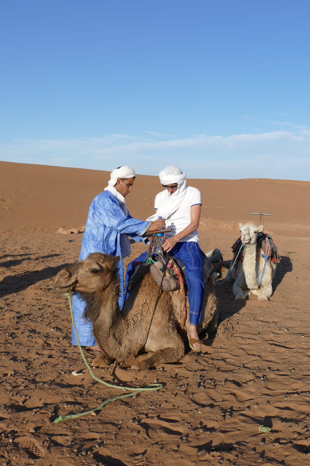 Aziz Helping with Camels