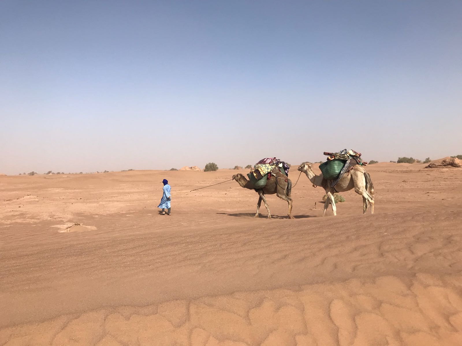 Aziz with Camels Far