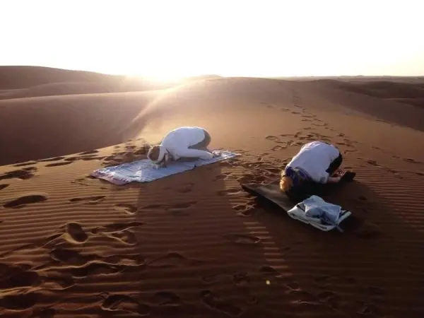 A beautiful scene in the Sahara desert.