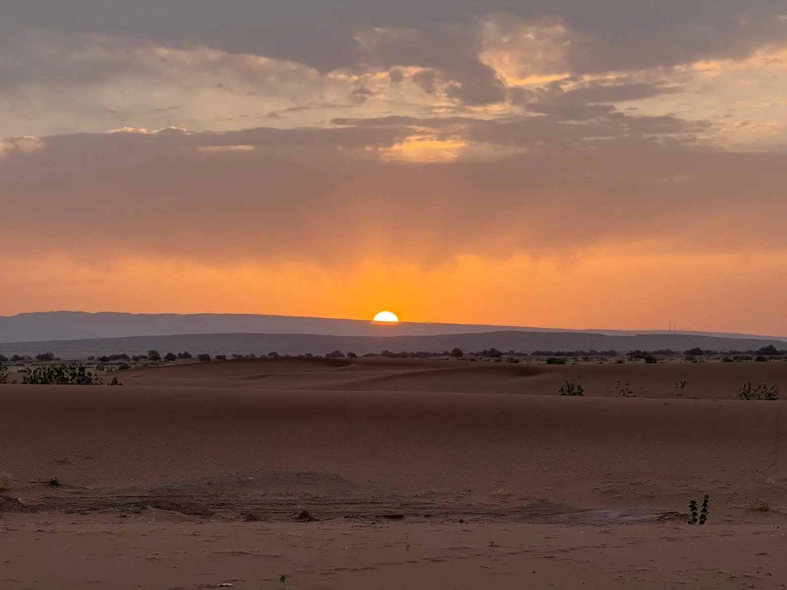 A beautiful scene in the Sahara desert.