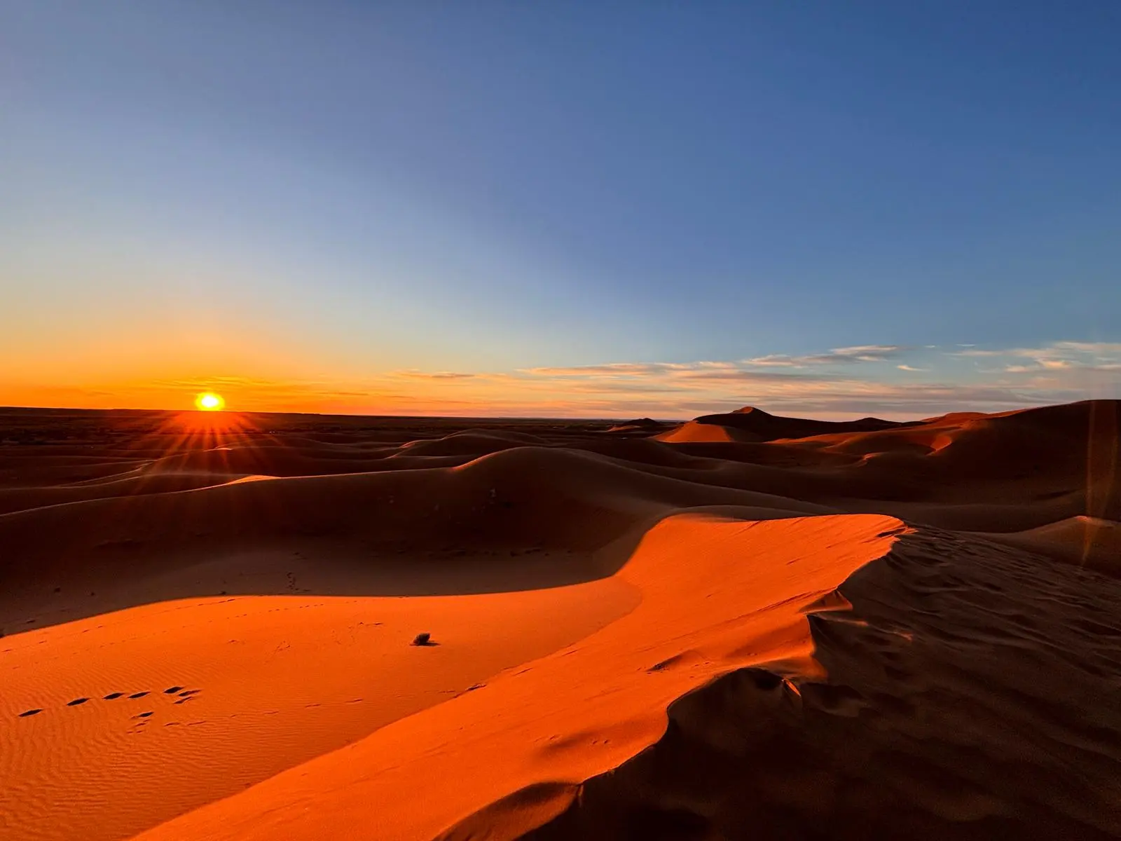 A beautiful scene in the Sahara desert.