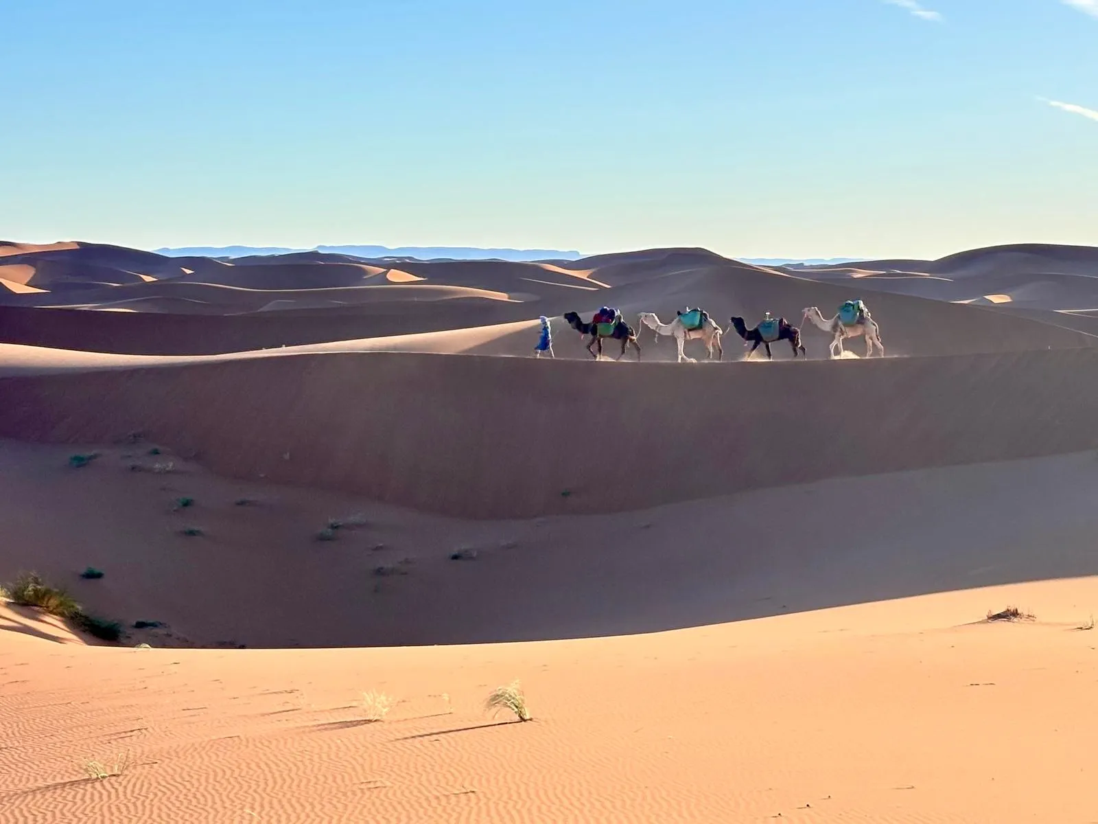 Camel Caravan Desert
