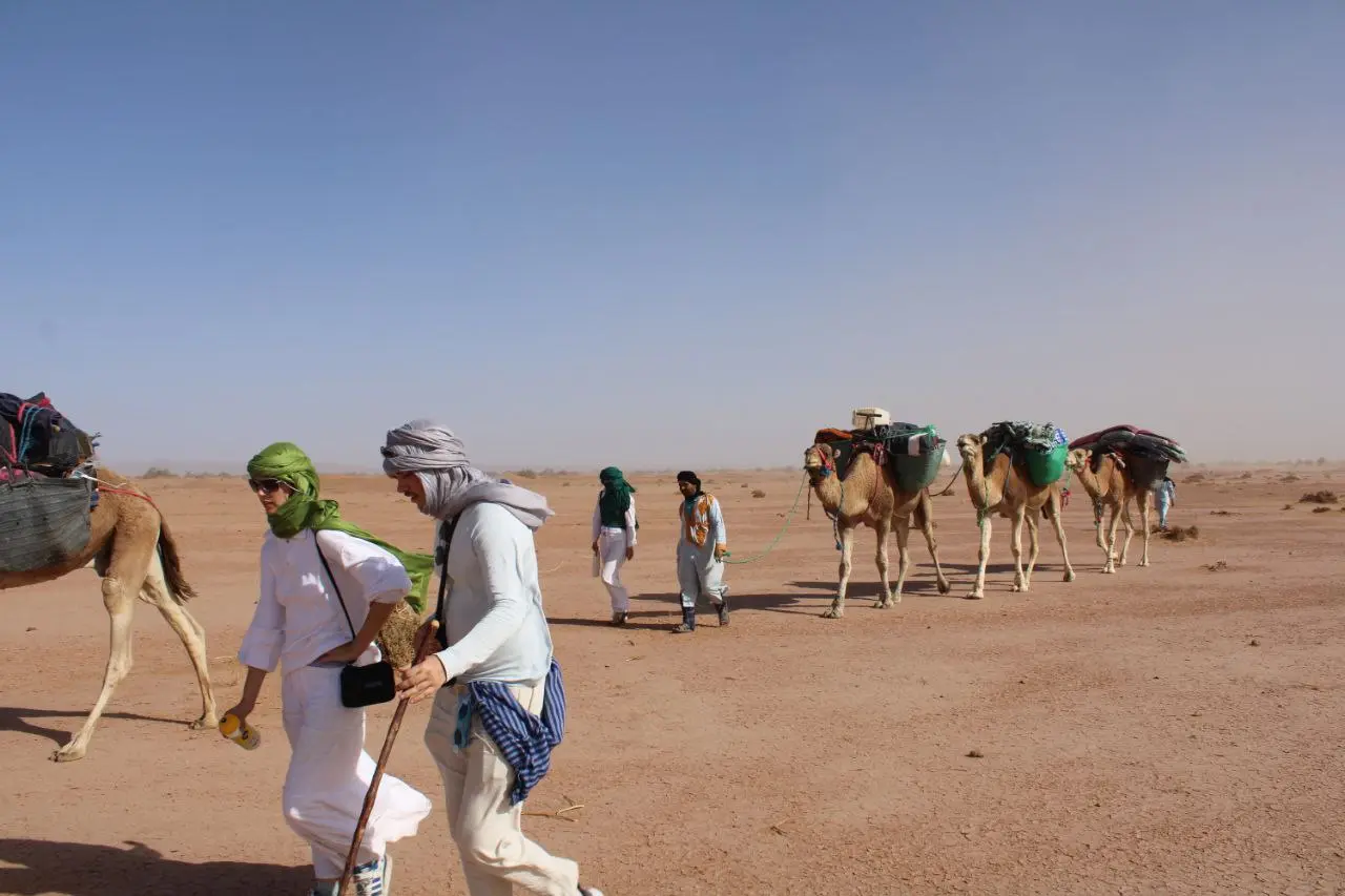 People and pack camels trekking across a flat, arid desert landscape under a clear blue sky.