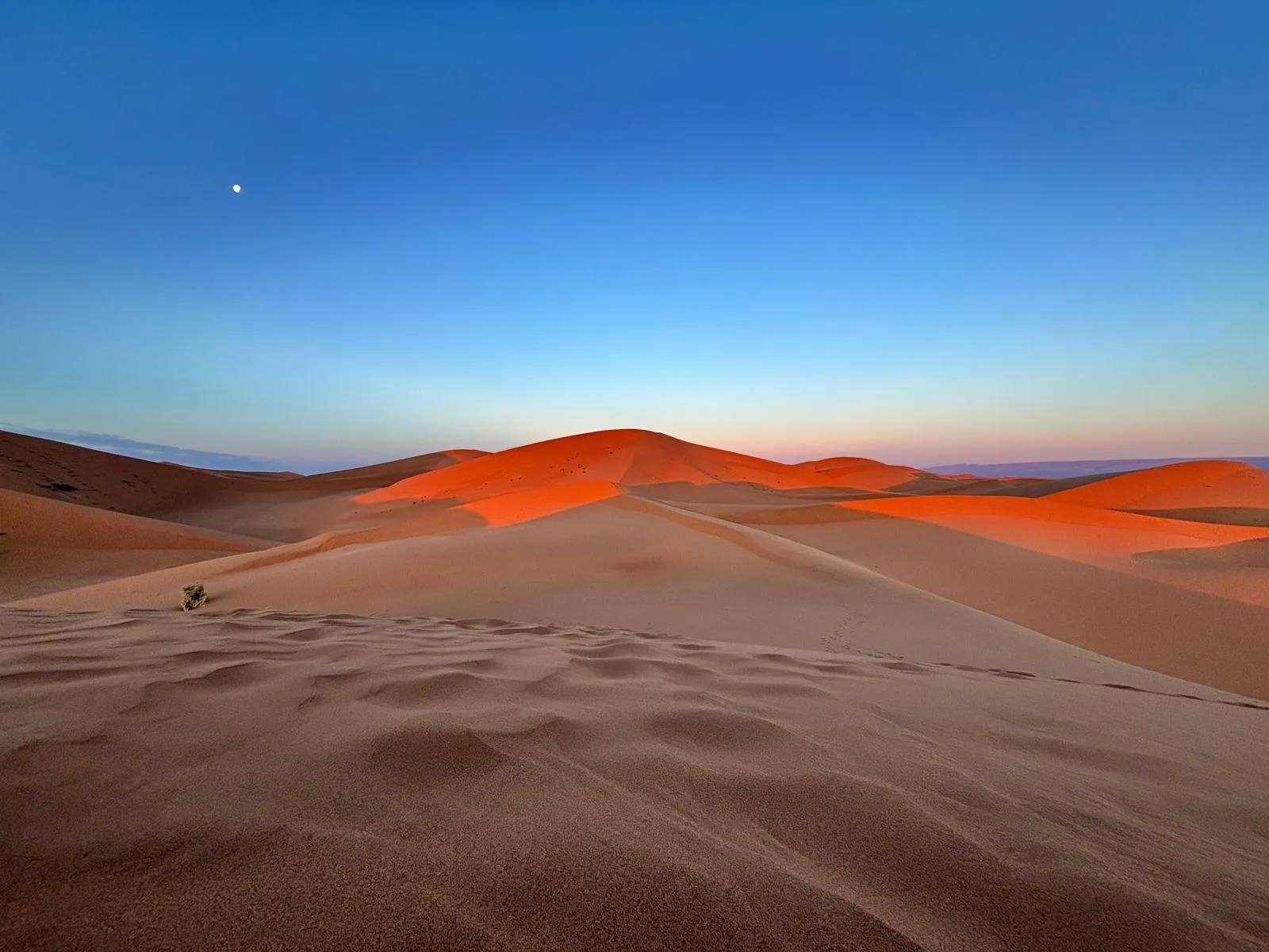 Desert Dunes Sunrise