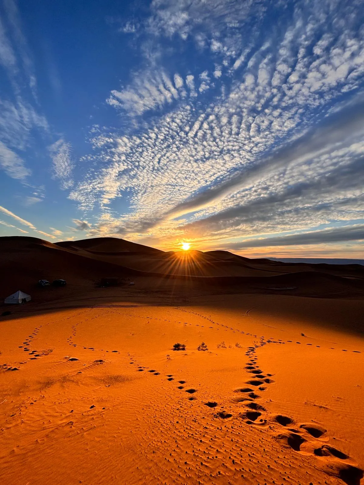 Majestic Sand Dunes