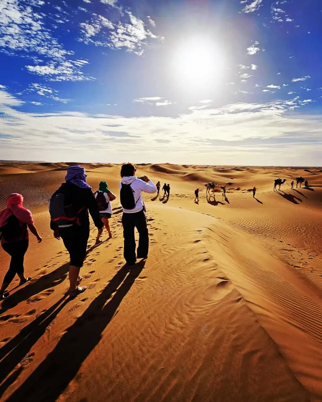 Tourists walk across golden sand dunes under a brilliant blue sky with camels in the distance, casting long shadows.