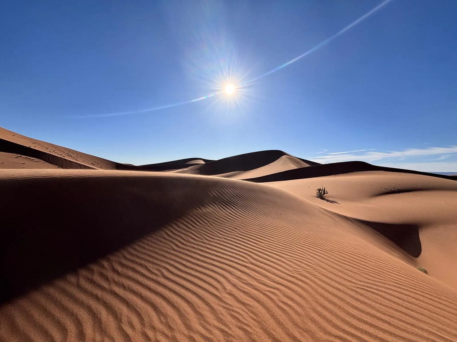 Desert Sand Dunes
