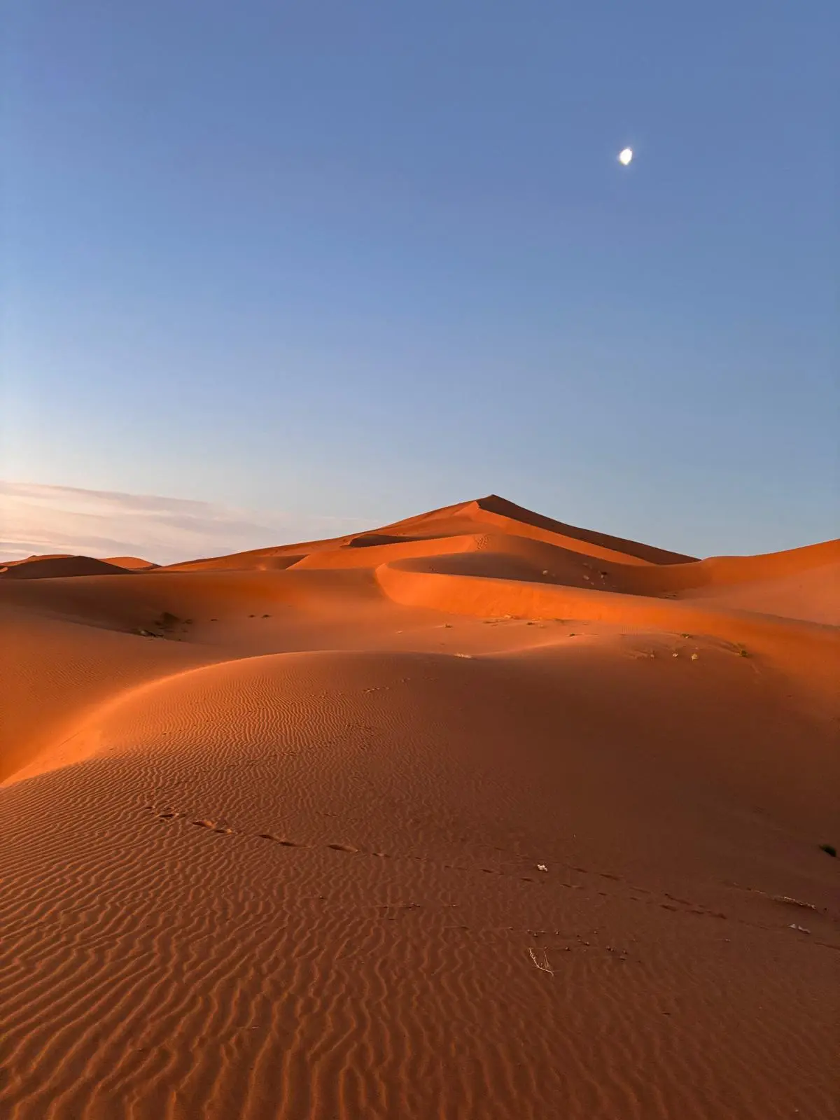 Morning or evening desert landscape with vast orange sand dunes, intricate wind patterns, and a crescent moon in a clear blue sky.