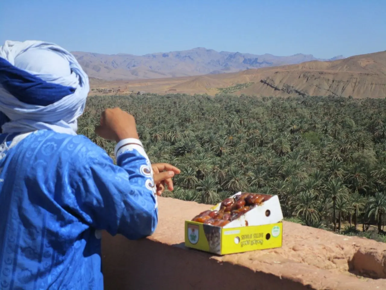 A person in a traditional blue robe and turban looks over a lush palm oasis with a box of dates on a wall.