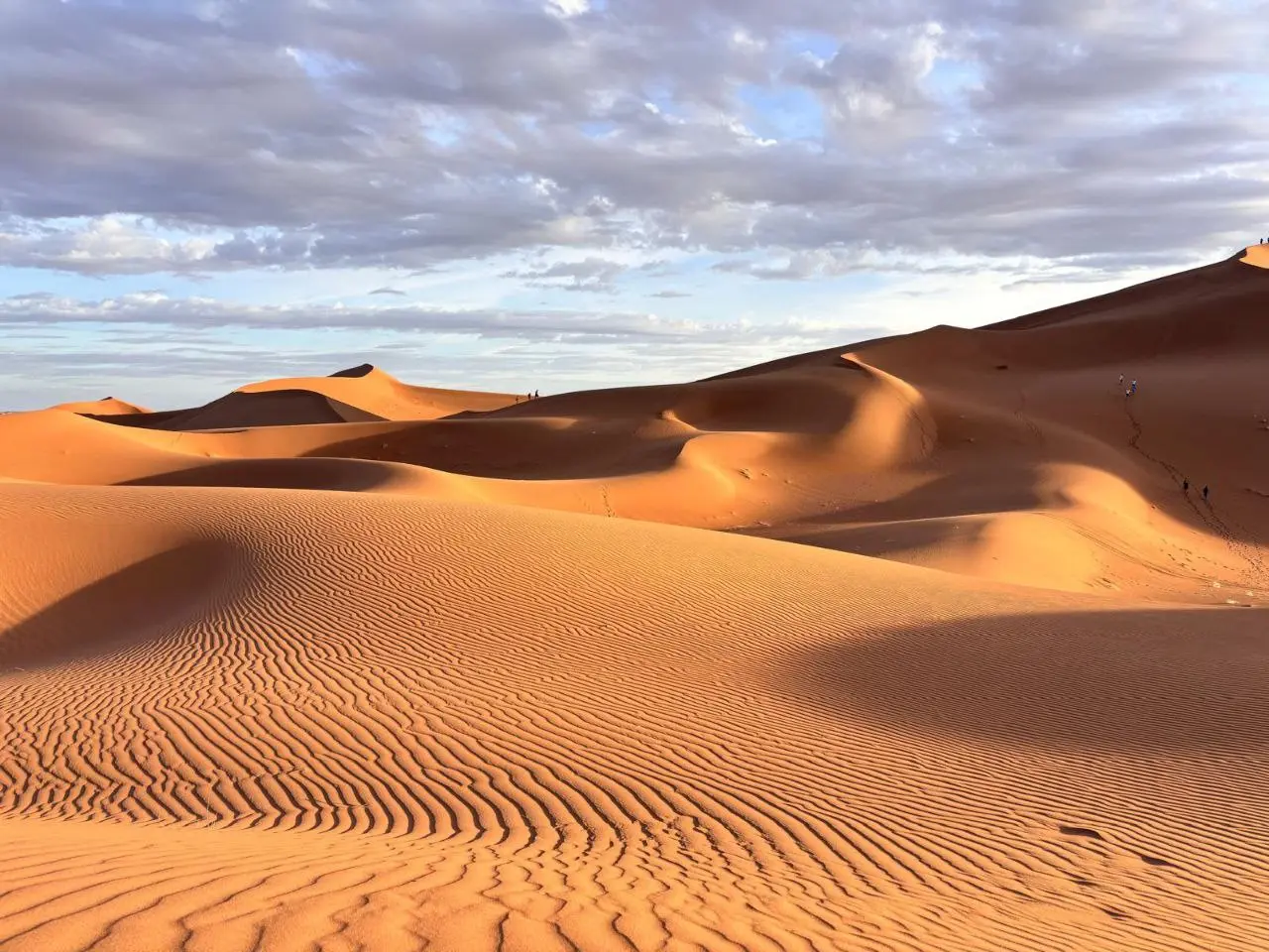 Vast orange sand dunes with wind-blown ripples under a cloudy sky in the Sahara desert.